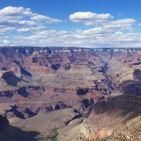 Meet your Posher, L - Picture 1 of 1